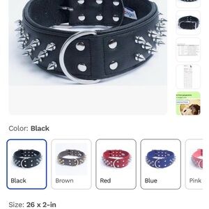 Black Spiked Dog Collar-Used